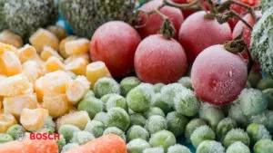 یخ زدن مواد غذایی داخل یخچال