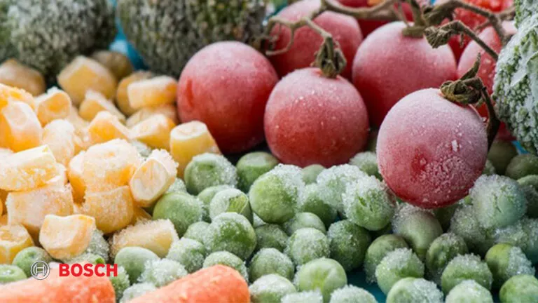 یخ زدن مواد غذایی داخل یخچال