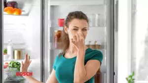 رفع بوی بد یخچال بوش، ساده و فوری