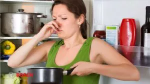 علت تغییر طعم غذا در یخچال بوش + راهکار رفع مشکل