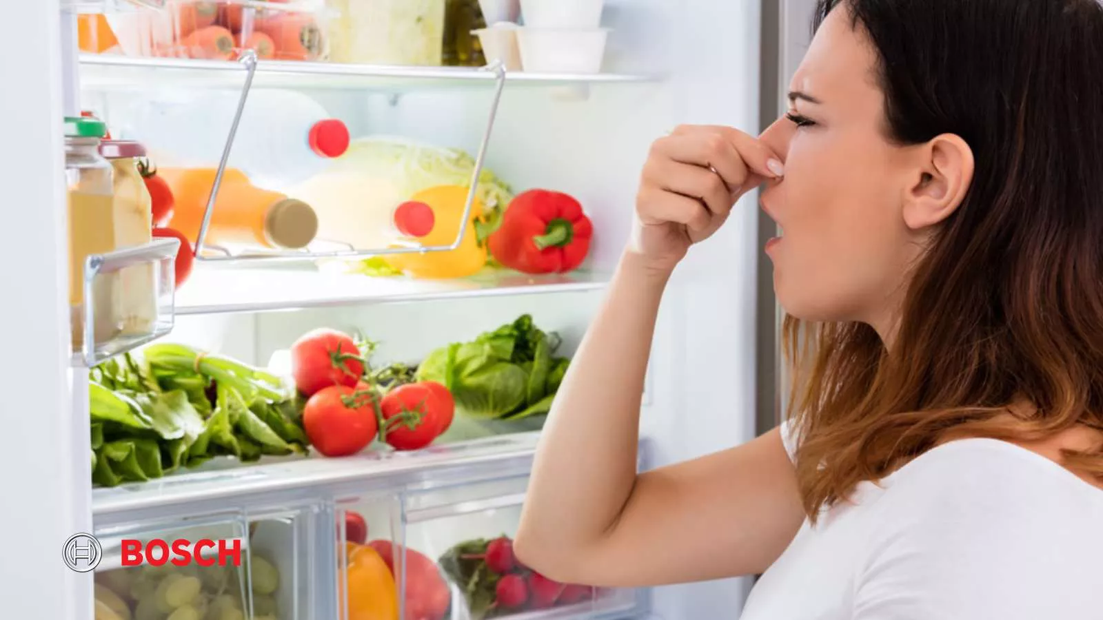 علت تغییر طعم غذا در یخچال بوش