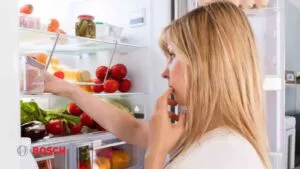 علت عرق کردن داخل یخچال بوش + روش های جلوگیری